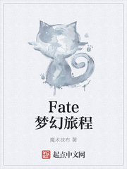 fate梦幻旅程 同类型小说